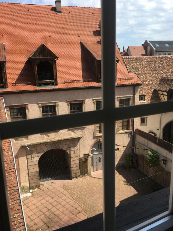 Centre historique Colmar La COLLÉGIALE RESORT Esterno foto
